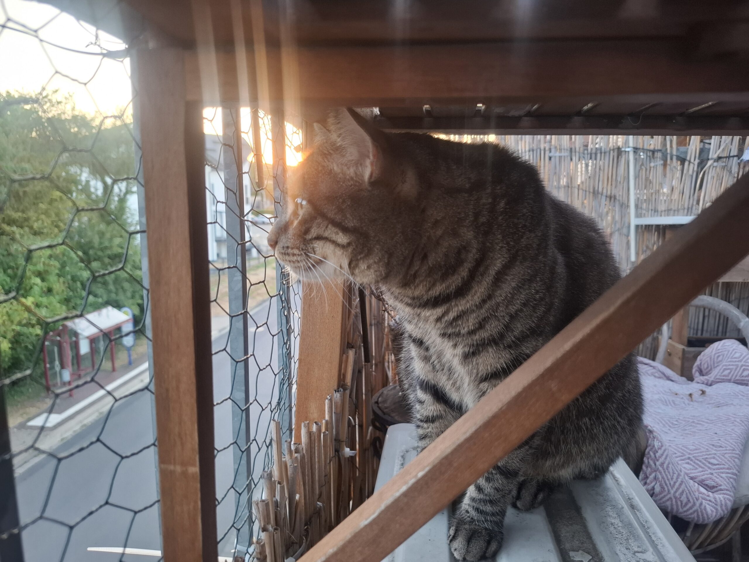 Attila