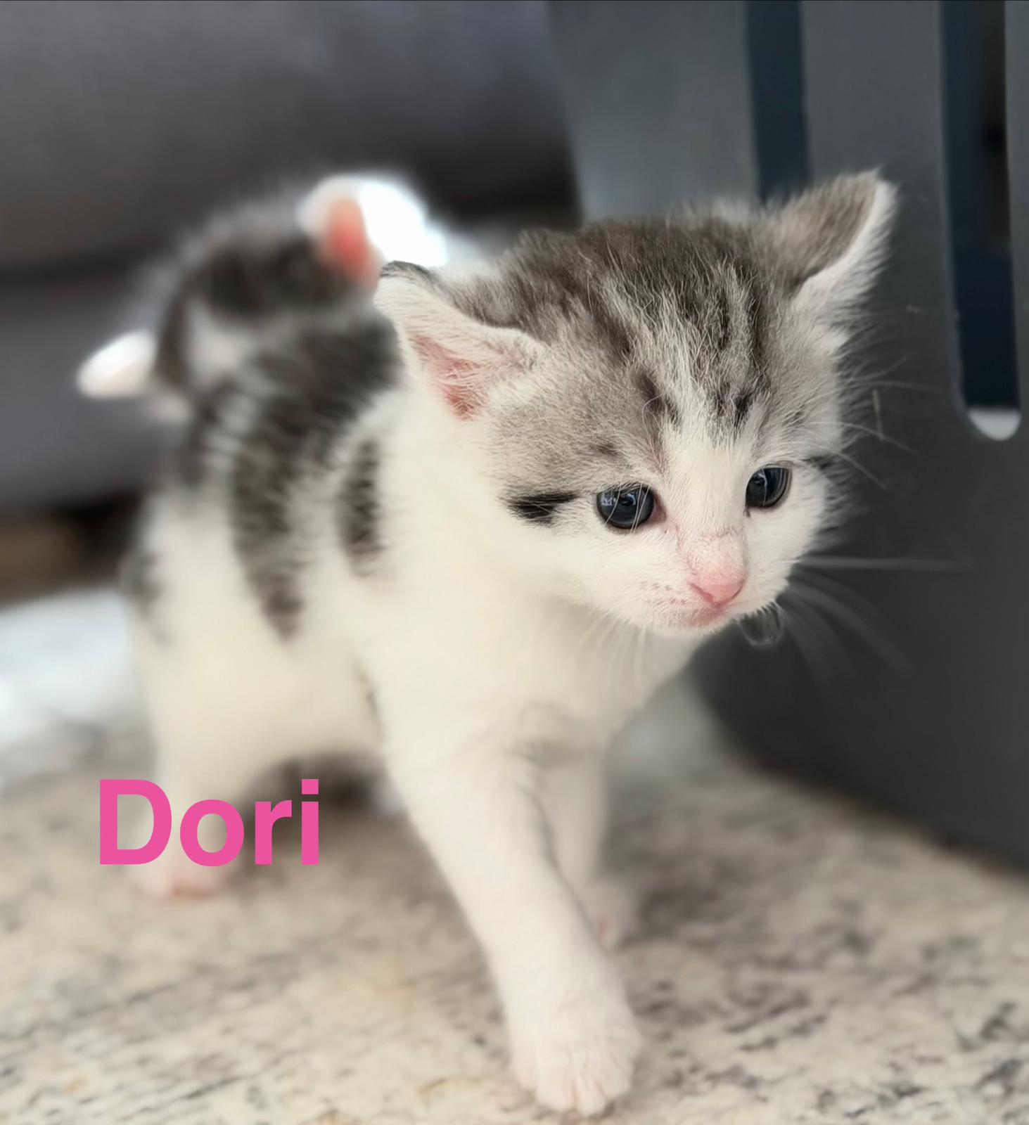 Dori